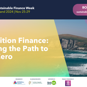 Transition Finance: Driving the Path to Net-Zero